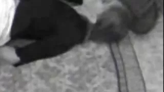 ایستاده یک پا مطرح جنسی, پورنو آنلاین, دانش آموز و دوم